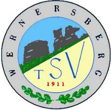 zur Homepage des Vereins