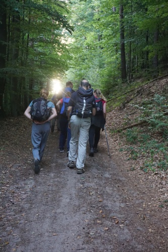 Die erste Etappe ist fast geschafft, da begrüßt und uns schon die Sonne auf unserem Weg zum Aussichtspunkt über dem Hirzeckhaus