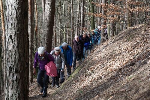 Der Aufstieg zum Immersberg