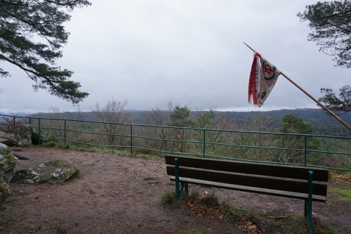 Aussicht auf den Pfälzer Wald mit unserem Wimpel