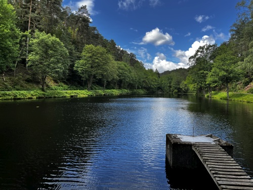 Der Stüdenbacher Weiher